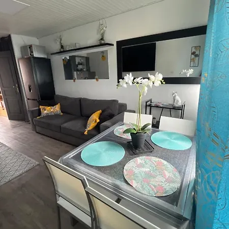 46 île Paradise Vue Port Agde